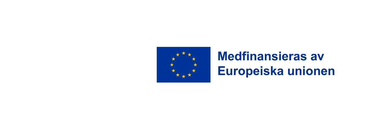 Medfinansieras av Europeiska unionen